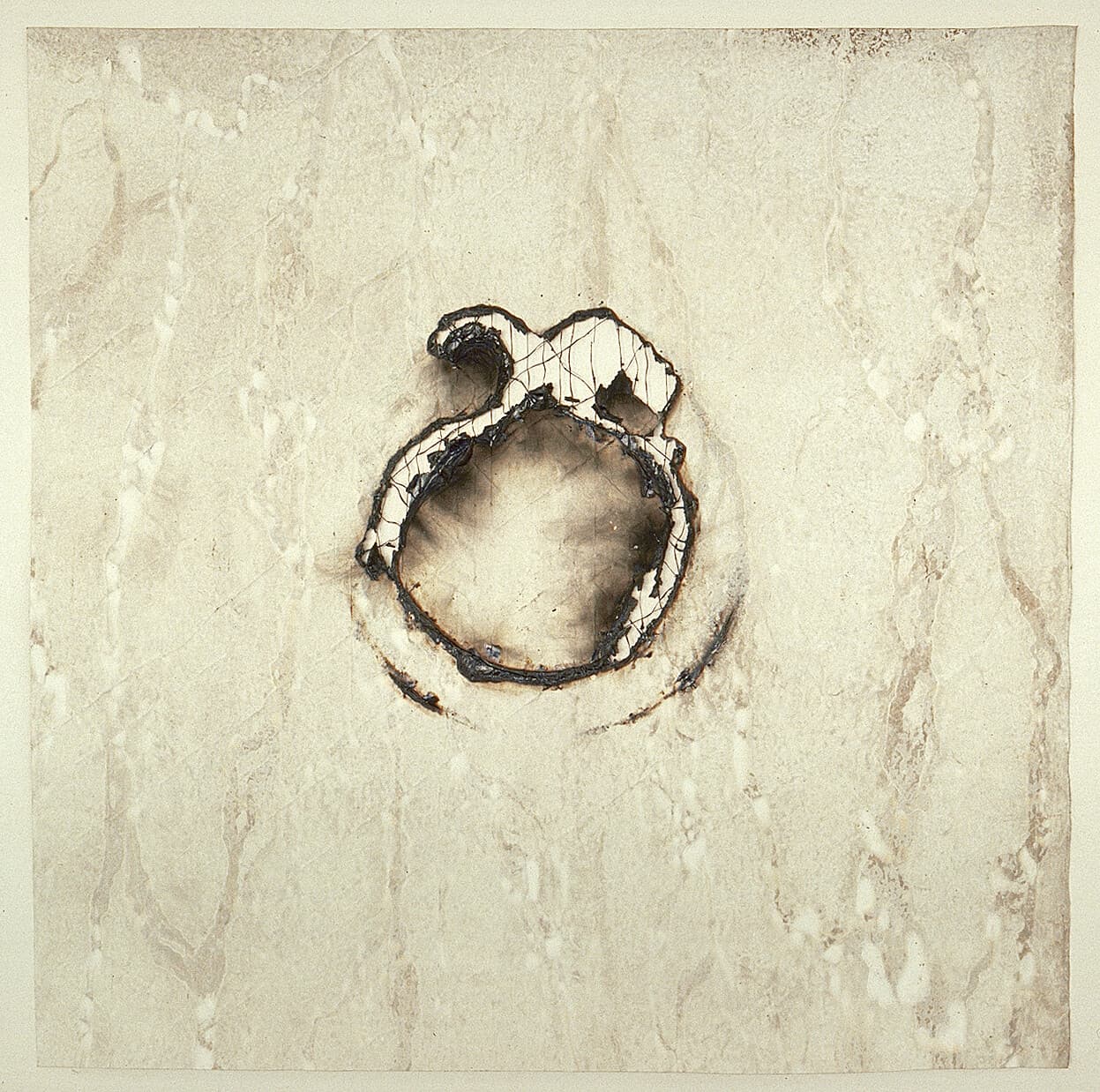 Untitled (branding)