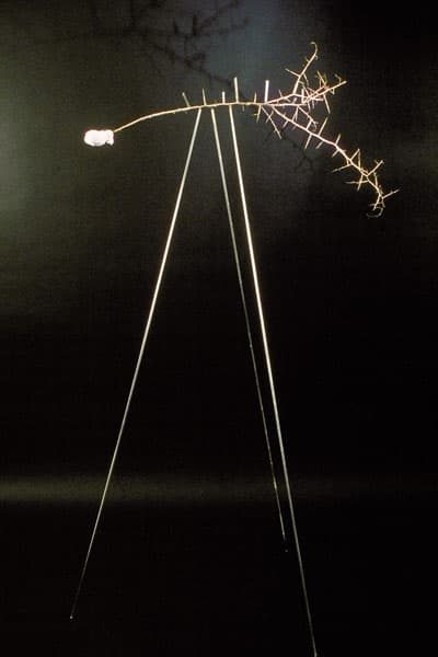 Untitled (glass tripod 1)