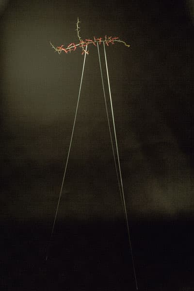 Untitled (glass tripod 2)