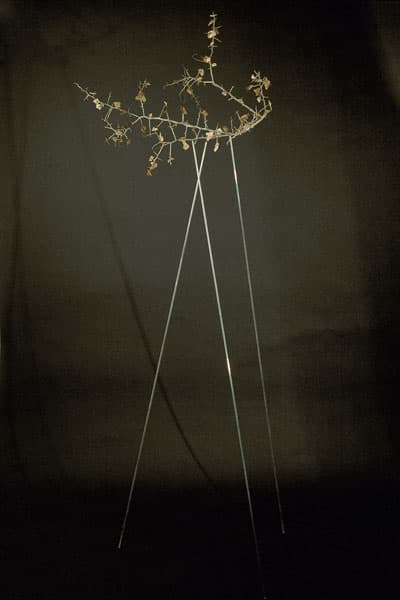 Untitled (glass tripod 5)