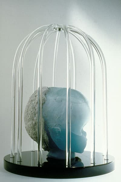 Untitled (head in cage)