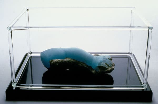 Fossil
