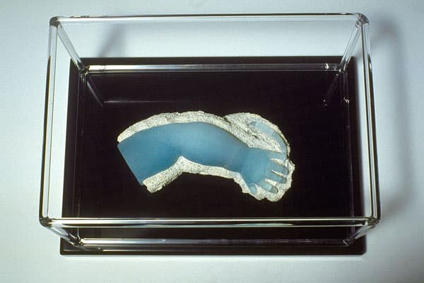 Fossil