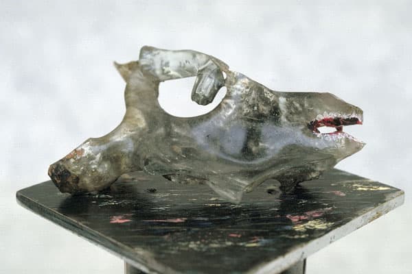 Self Image: The Wolf