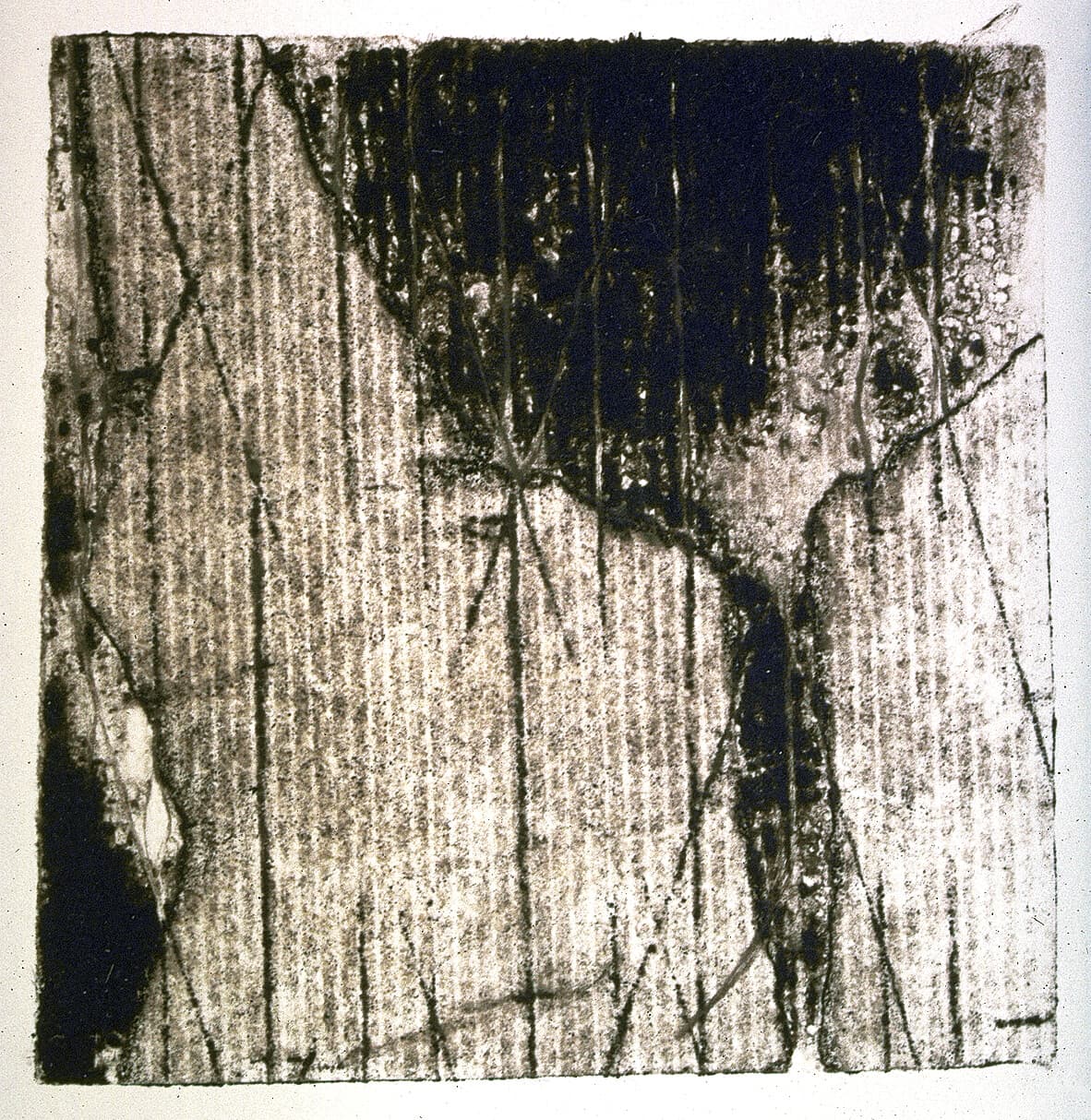 Untitled monoprint
