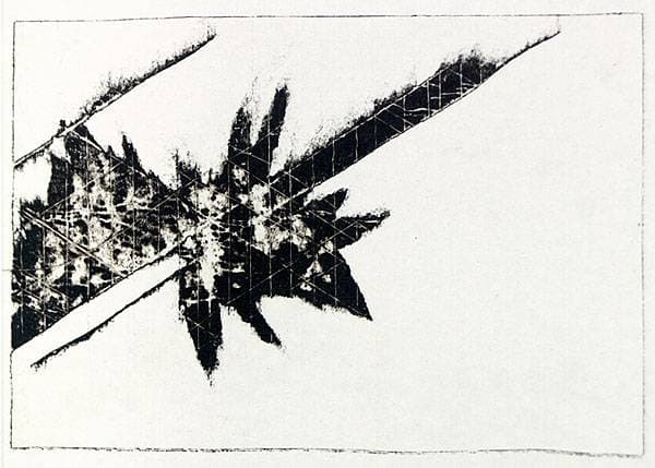 Eruptions 10