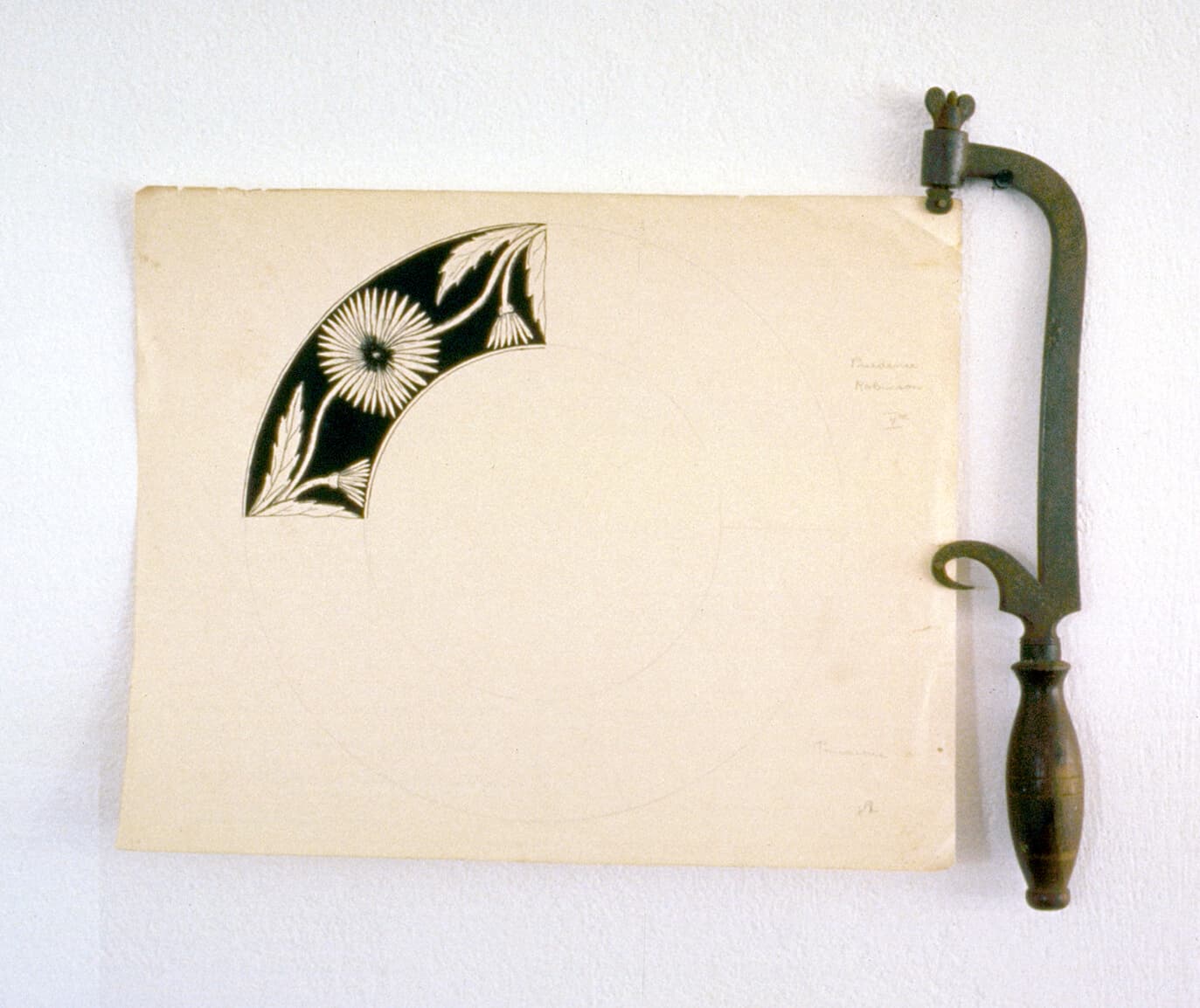 1800: Mr Braid and Cuvier Found Science of Comparative Anatomy