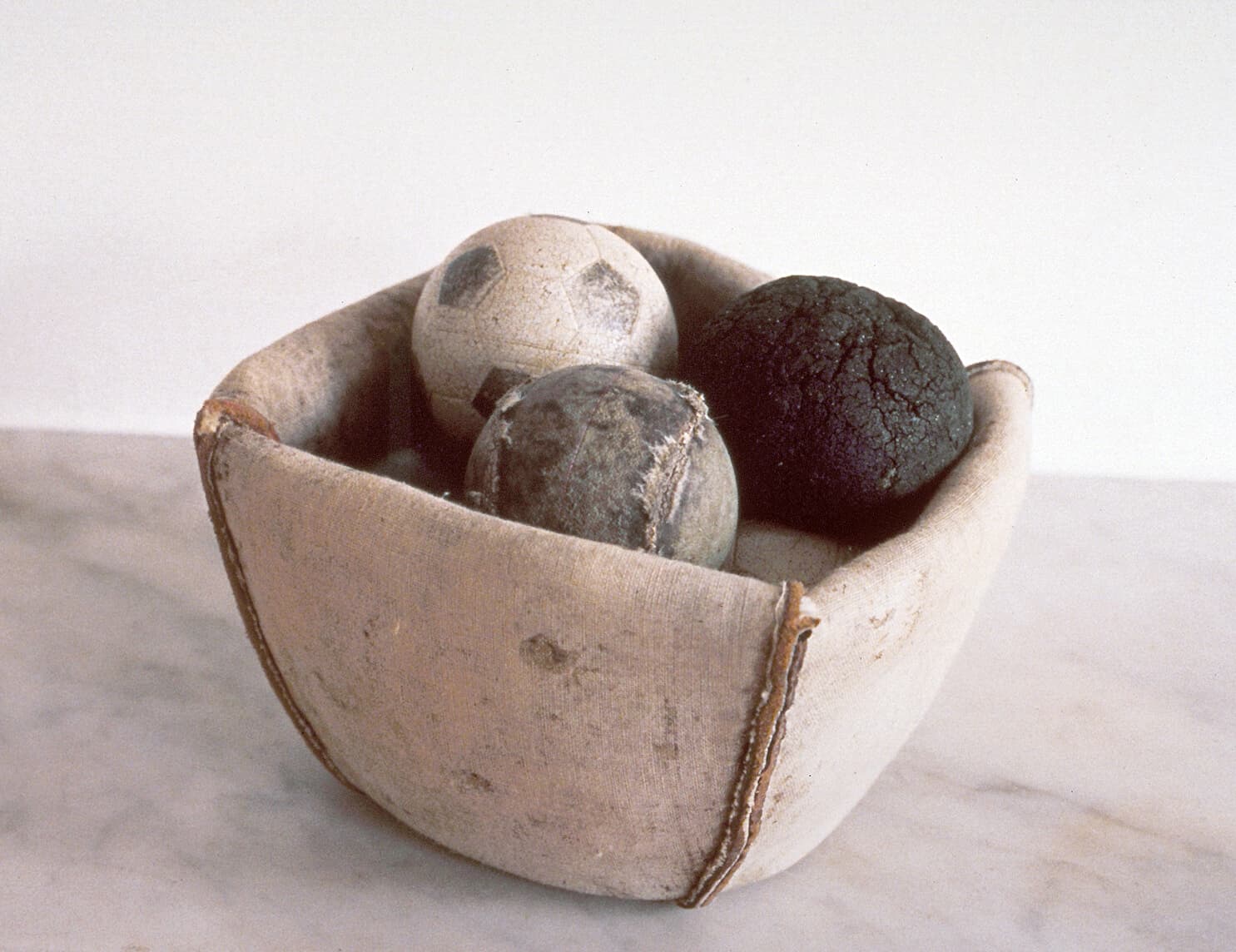 Fruit