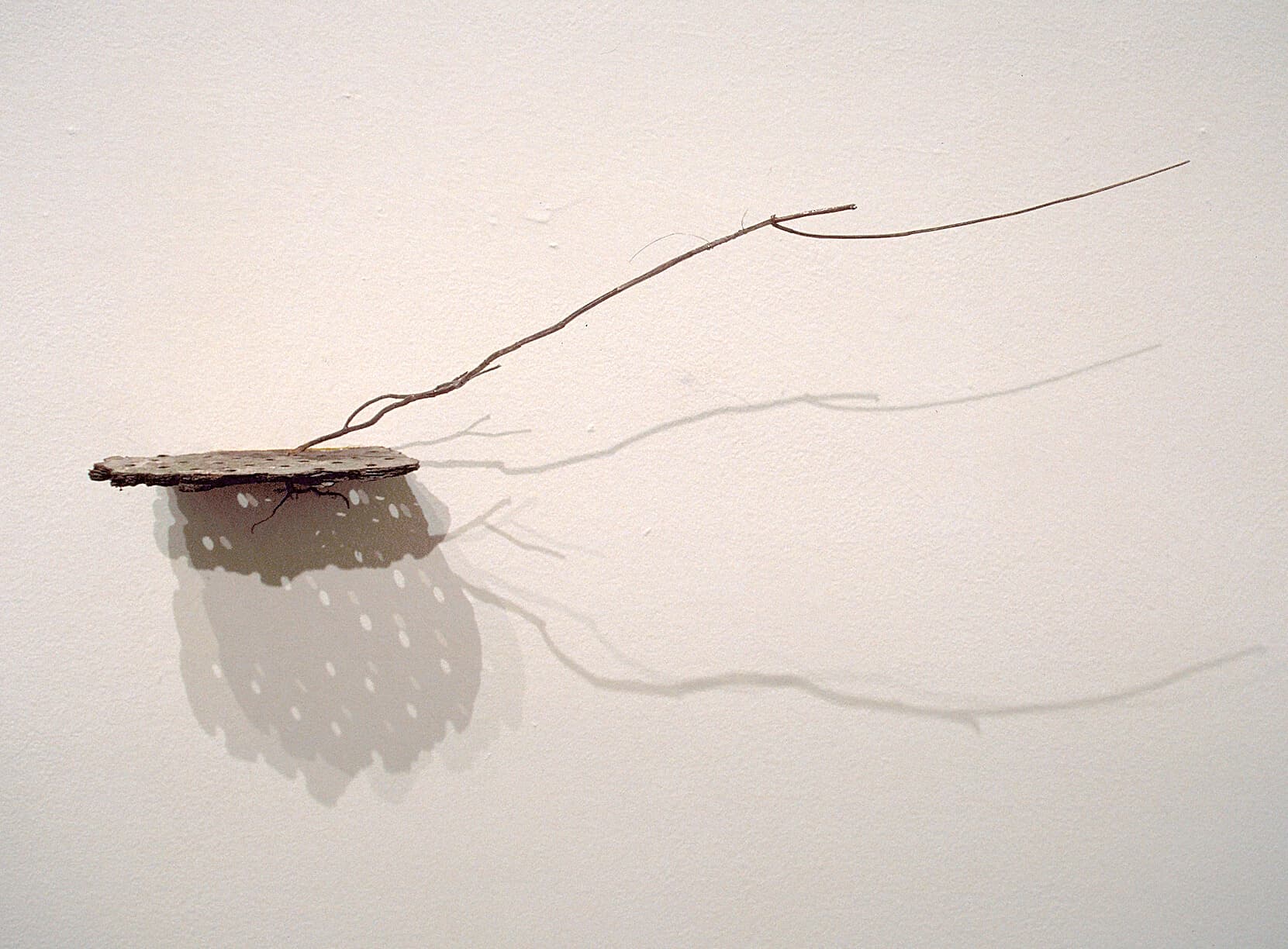 Descent (detail)