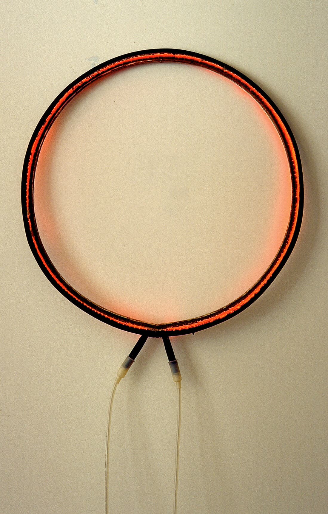Untitled (bladder/neon 1)