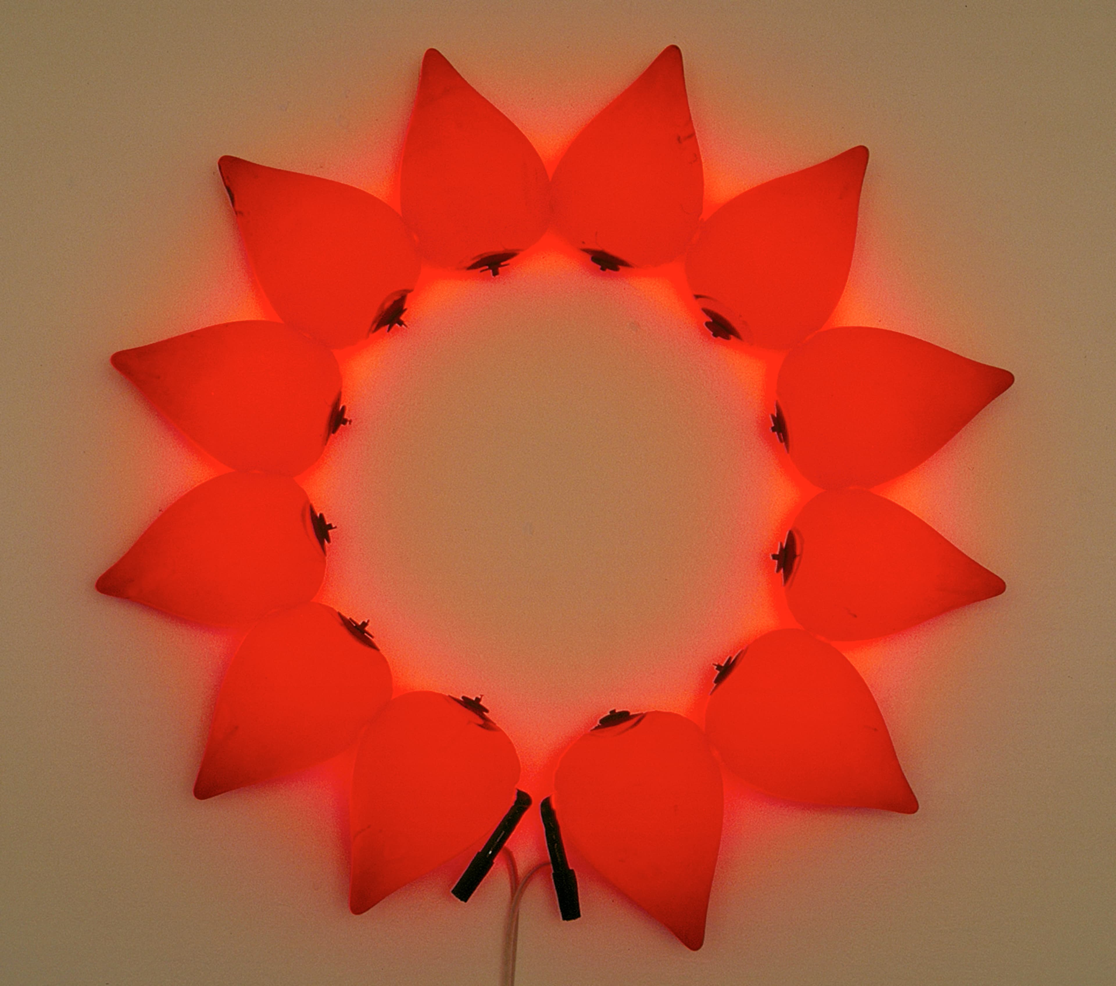 Untitled (bladder/neon 2)