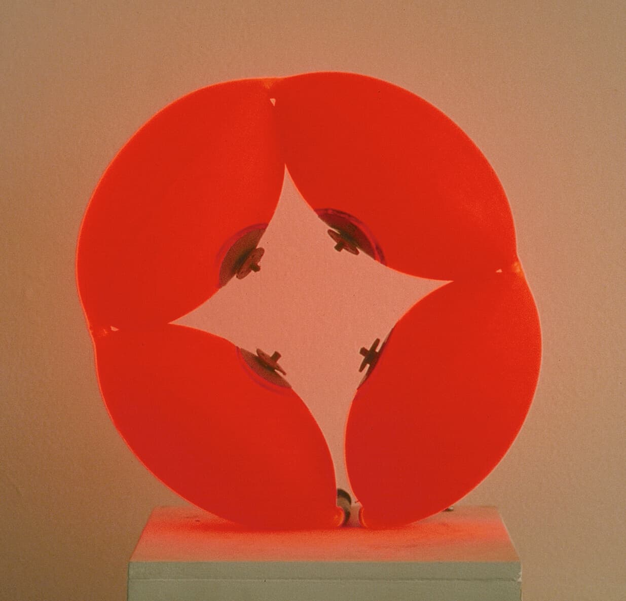 Untitled (bladder/neon 3)