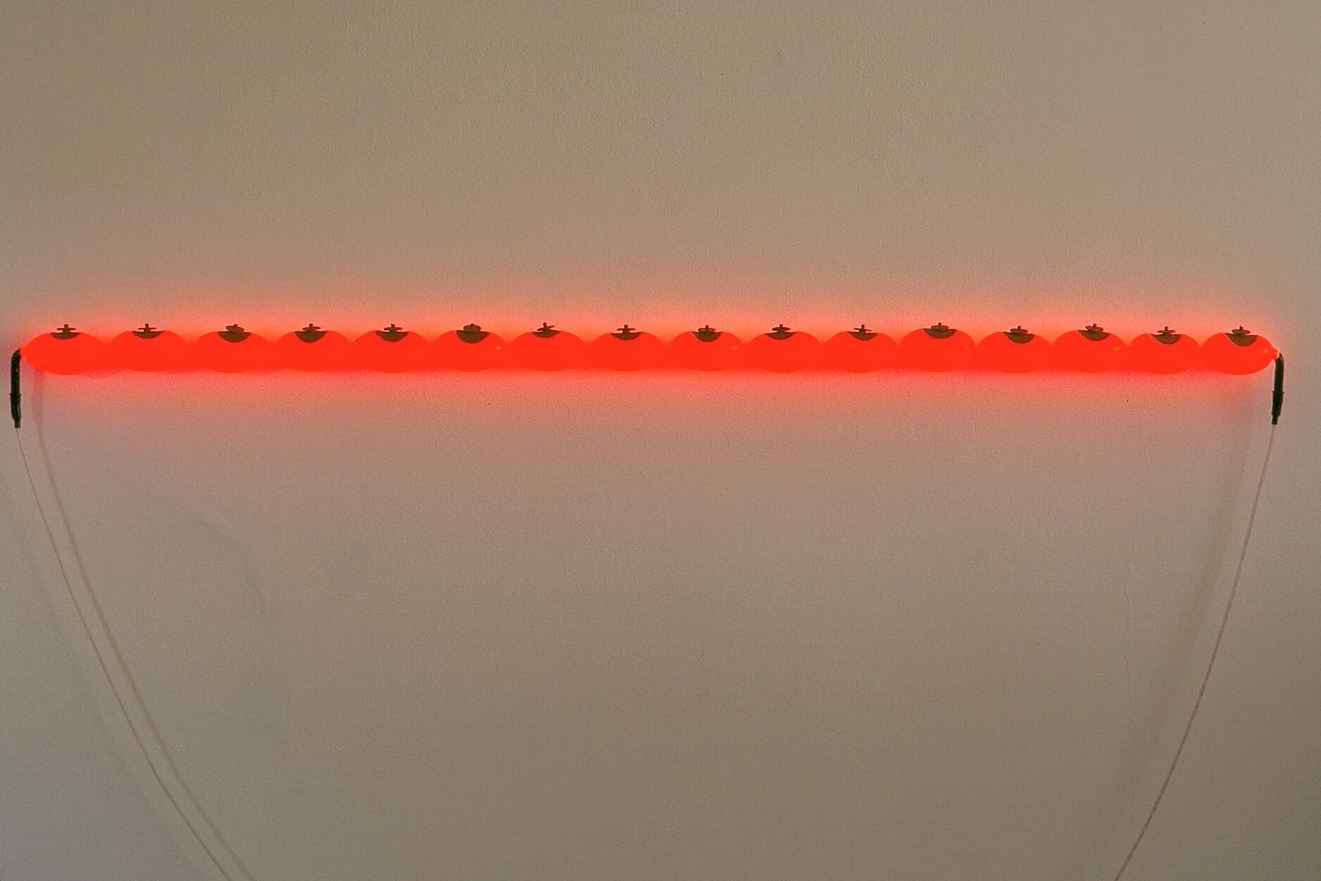 Untitled (bladder/neon 4)