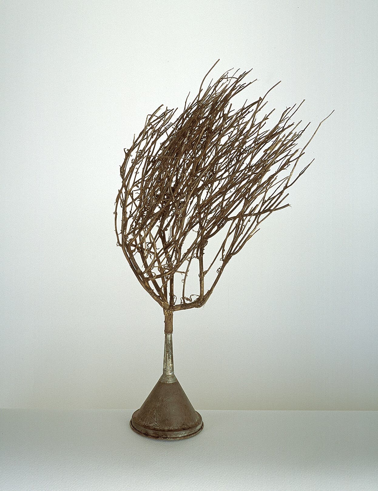 Untitled (funnel/branch)