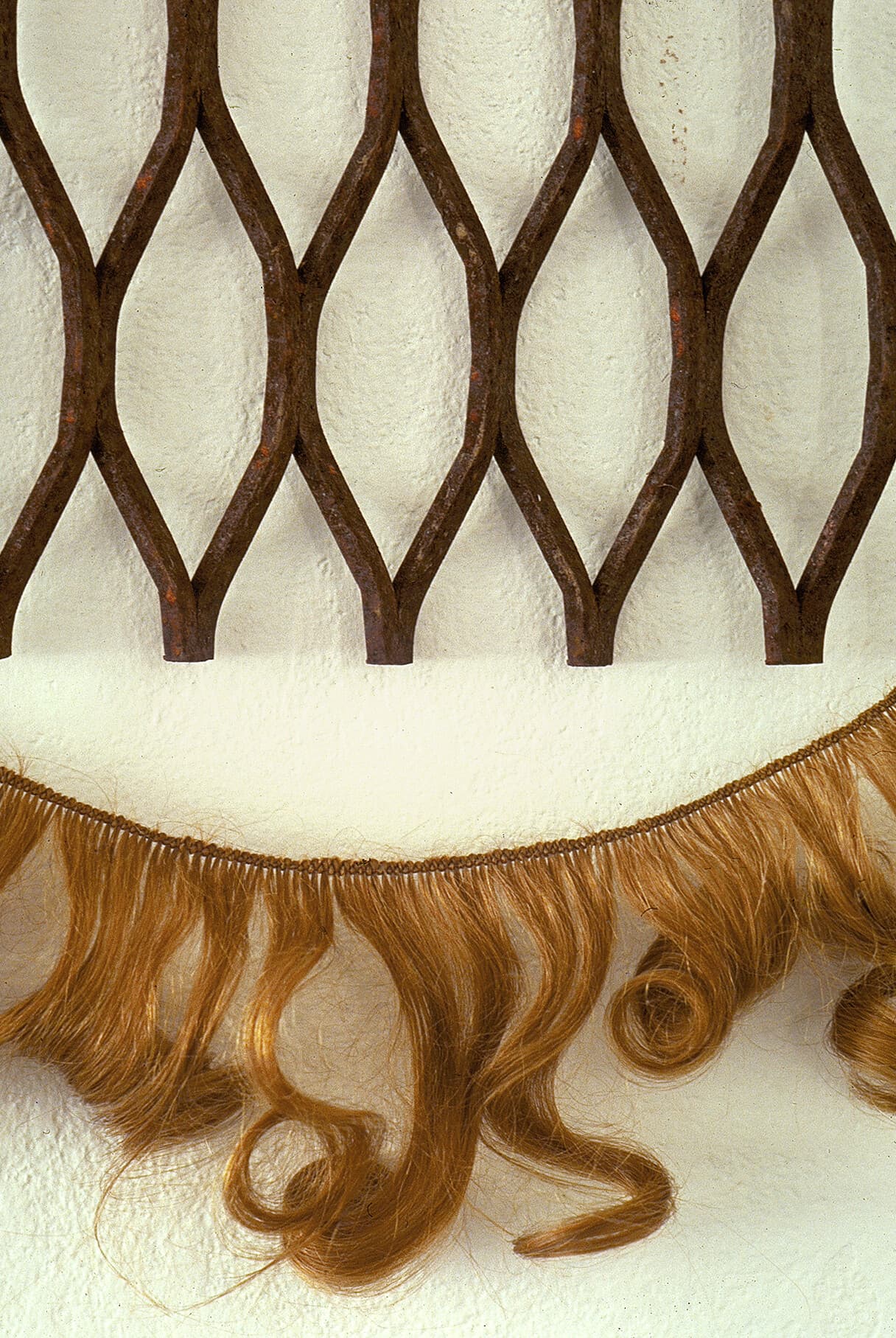 Untitled (mesh/hair) (detail)