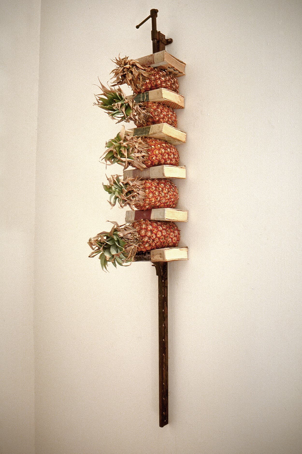 Untitled (pineapples/clamp)