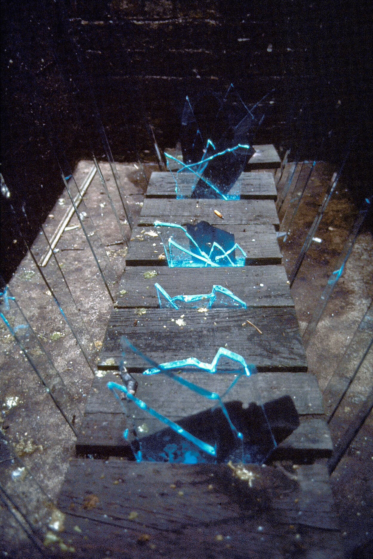 Untitled (neon and glass installation)