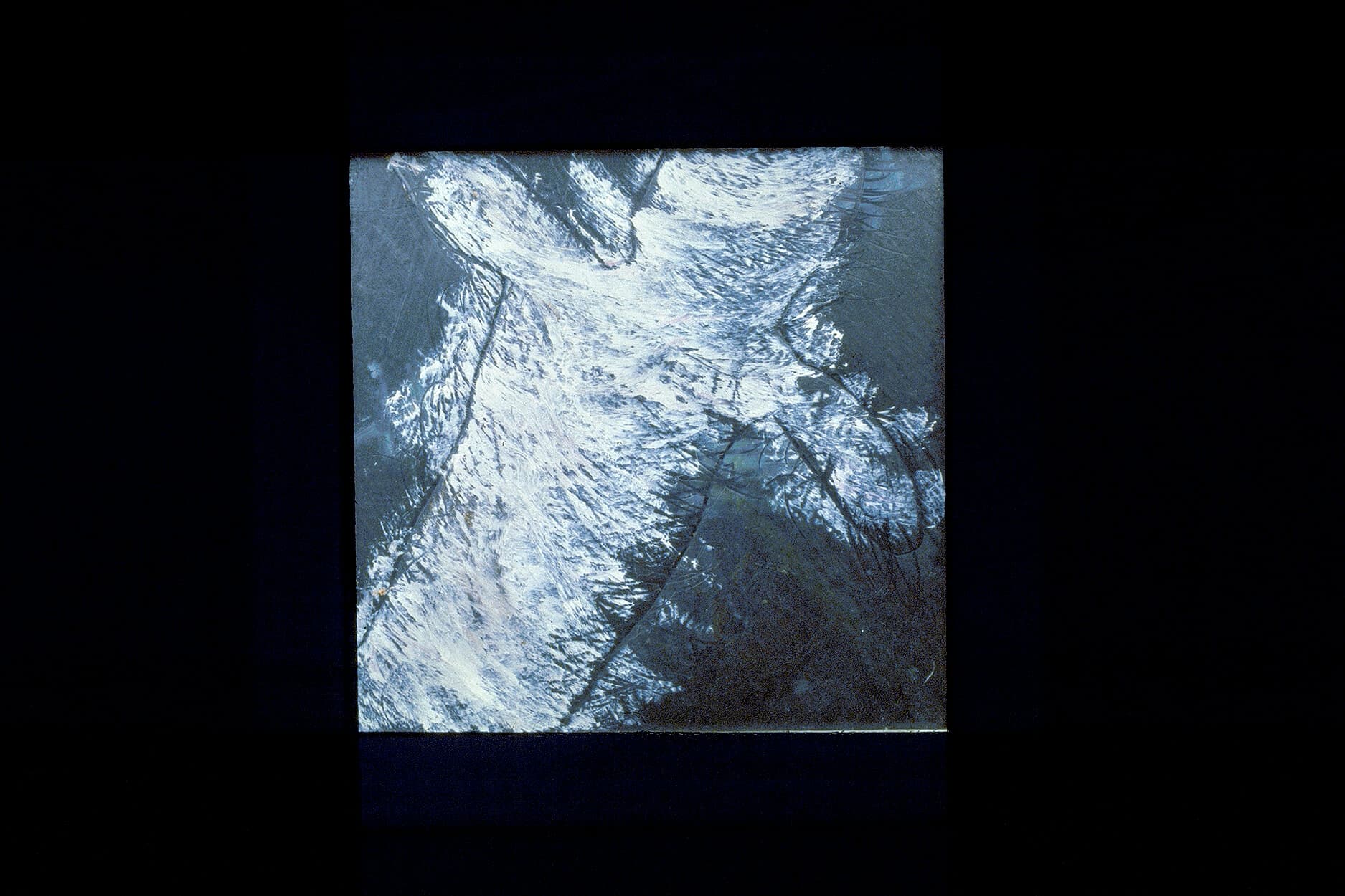 Untitled (shadow)