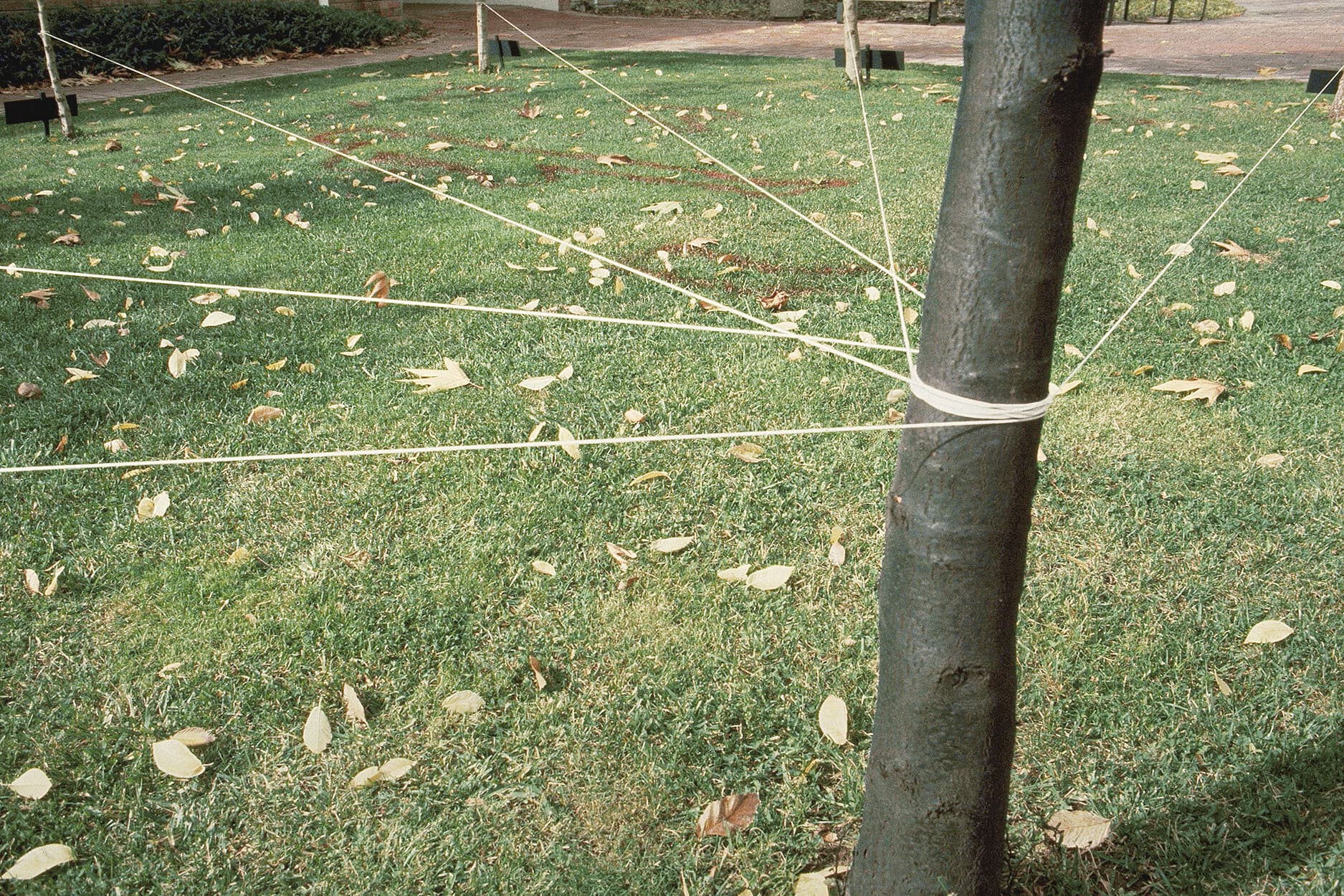 Silence (detail)